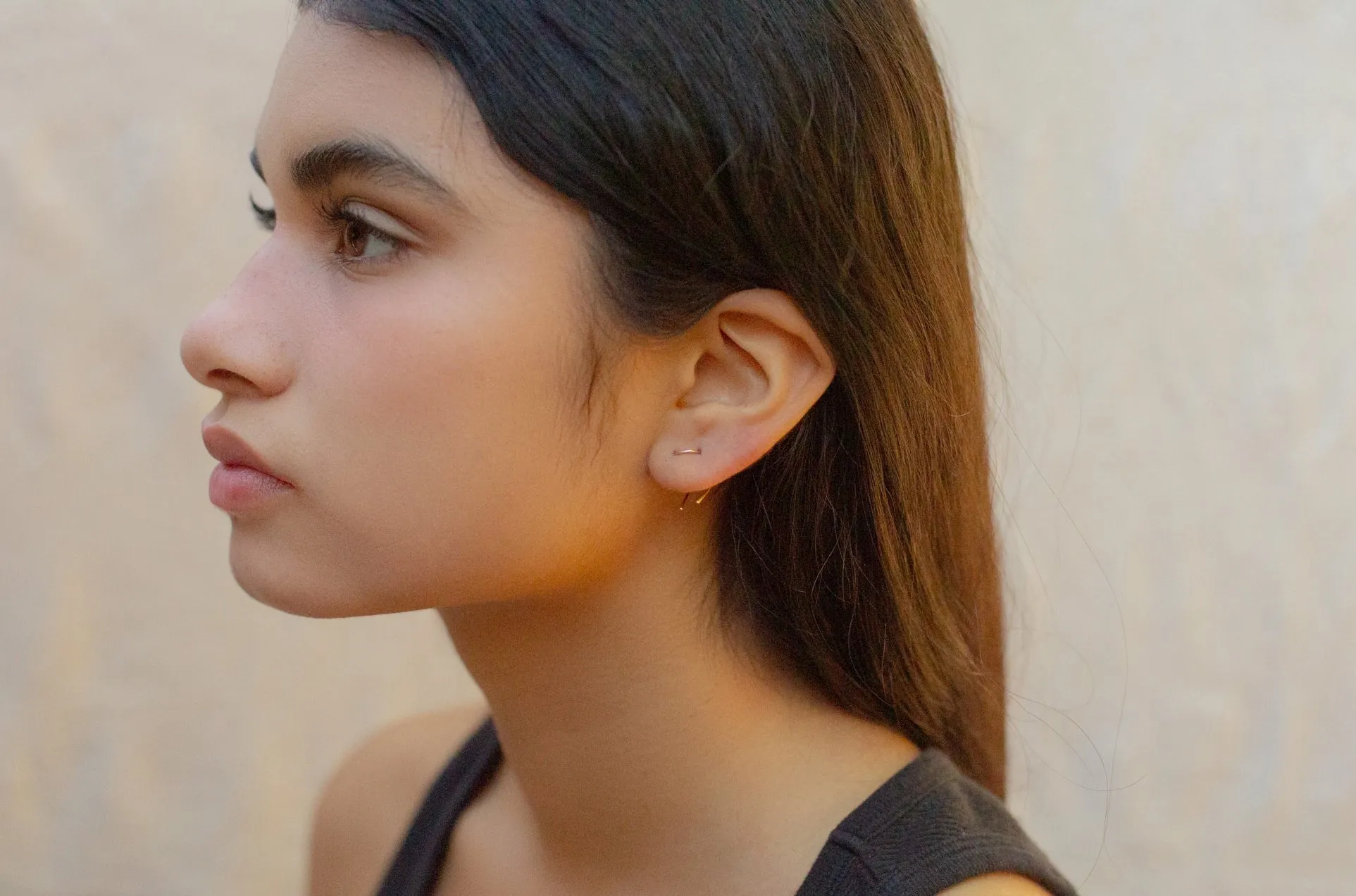 Curved Staple Earring