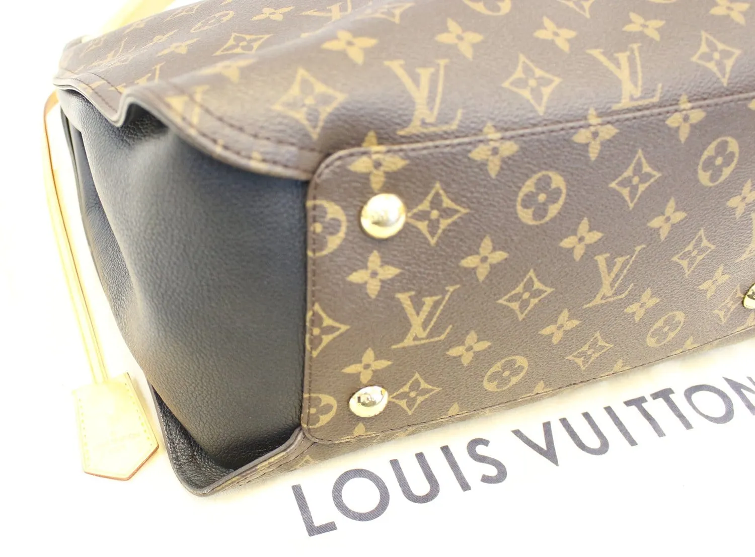 LOUIS VUITTON Monogram Canvas Gaïa Black Shoulder Bag