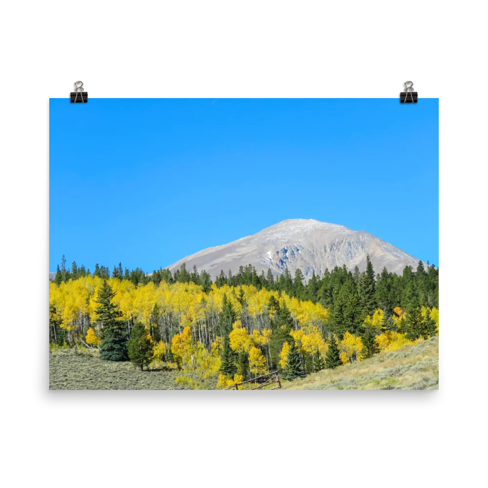 Mount Elbert with yellow aspens - print