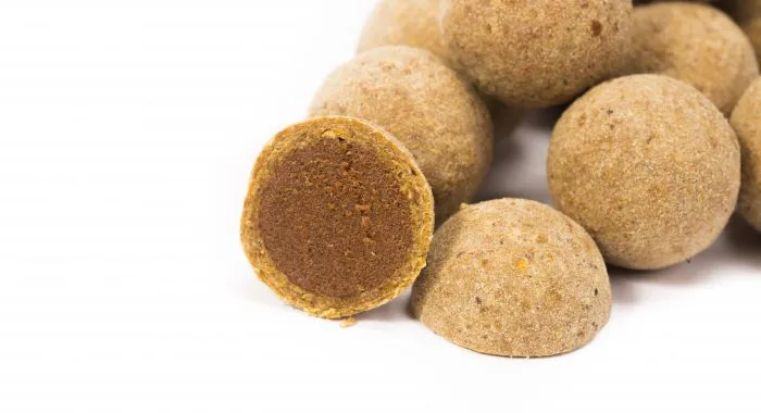Nashbait Scopex Squid Cultured Hookbaits