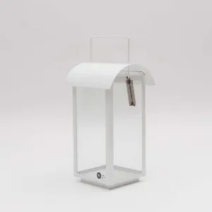 White lantern, curved